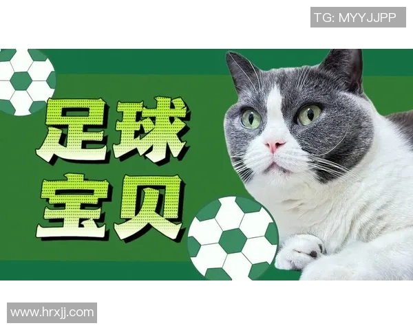 足球界最憨明星排行榜揭晓谁是最可爱的球场萌宠